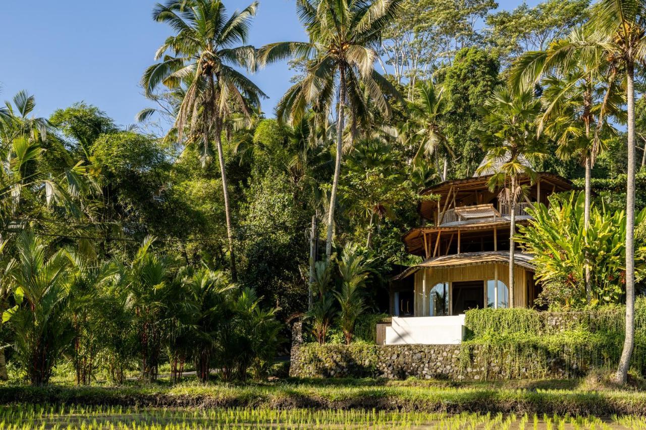 فندق Eco Six Bali Tampaksiring المظهر الخارجي الصورة